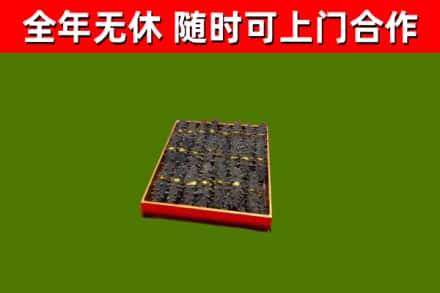友好区回收海参